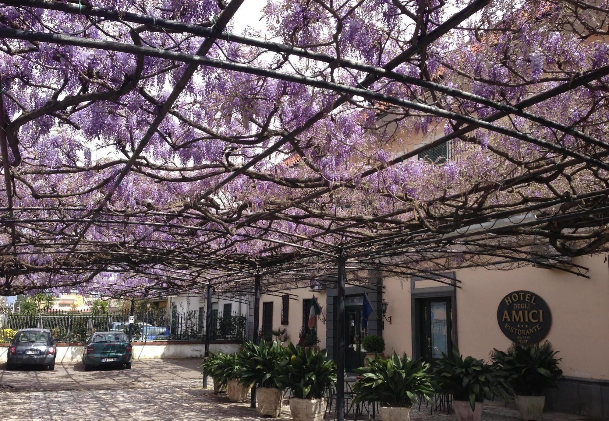 Hotell Degli Amici